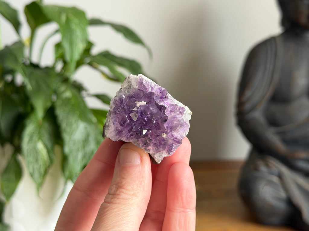 Amethyst Cluster