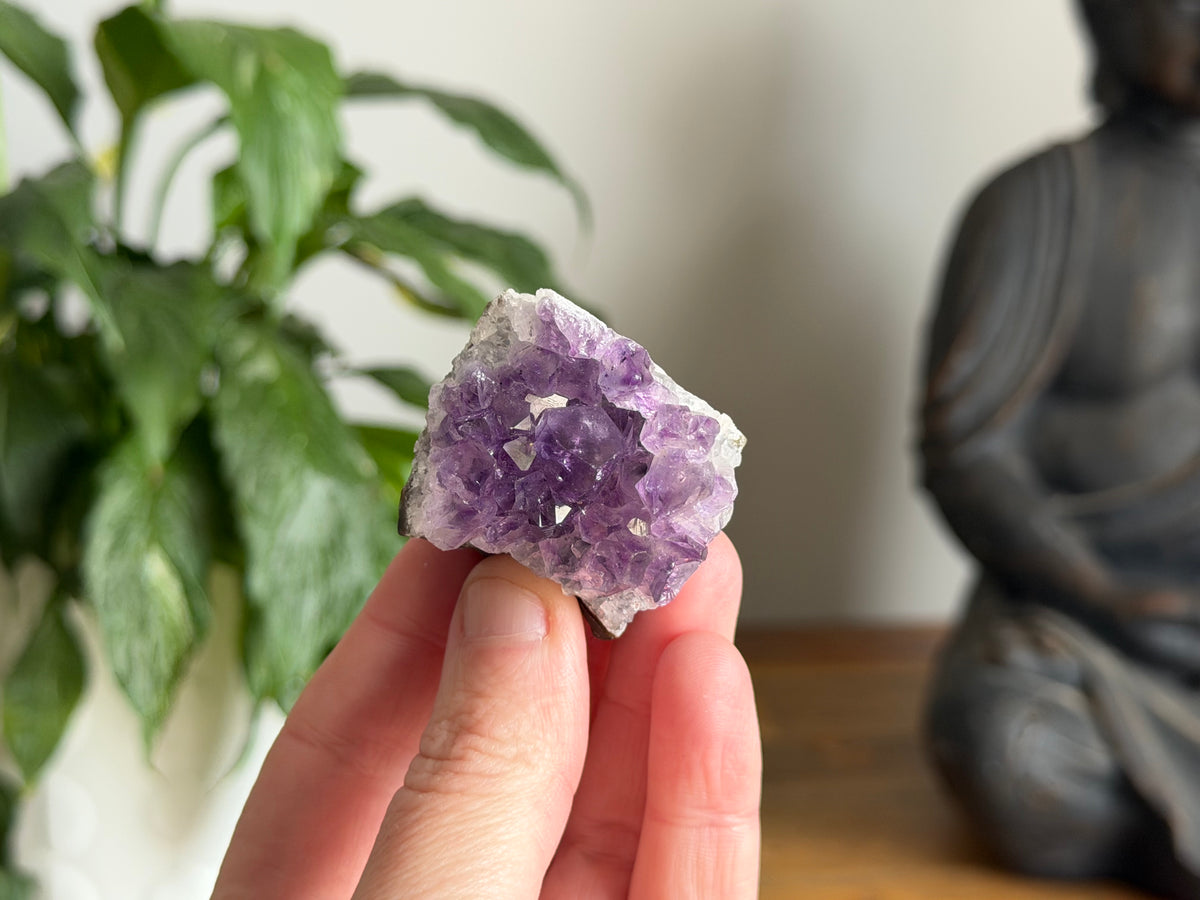 Amethyst Cluster