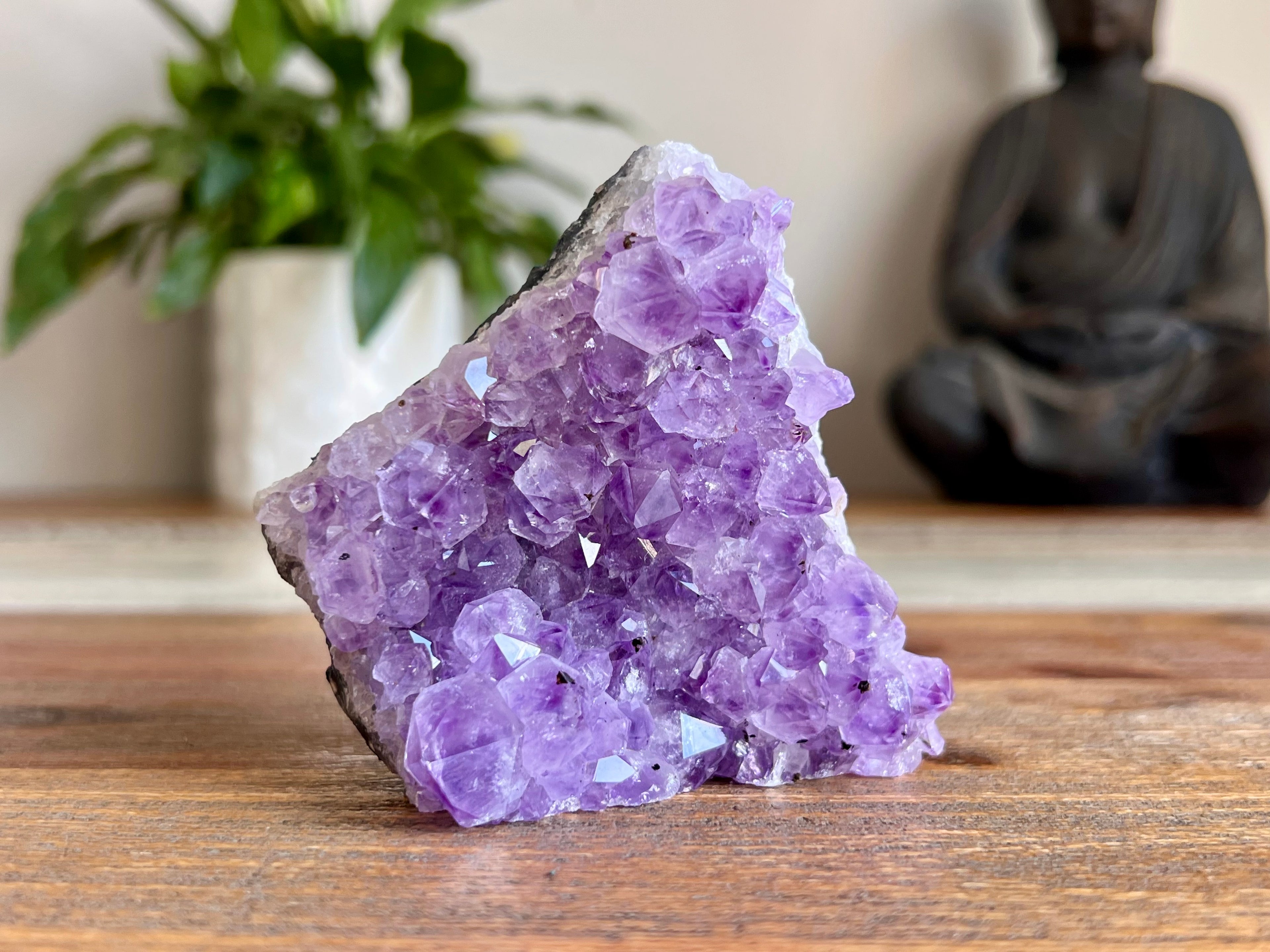 Amethyst Cluster