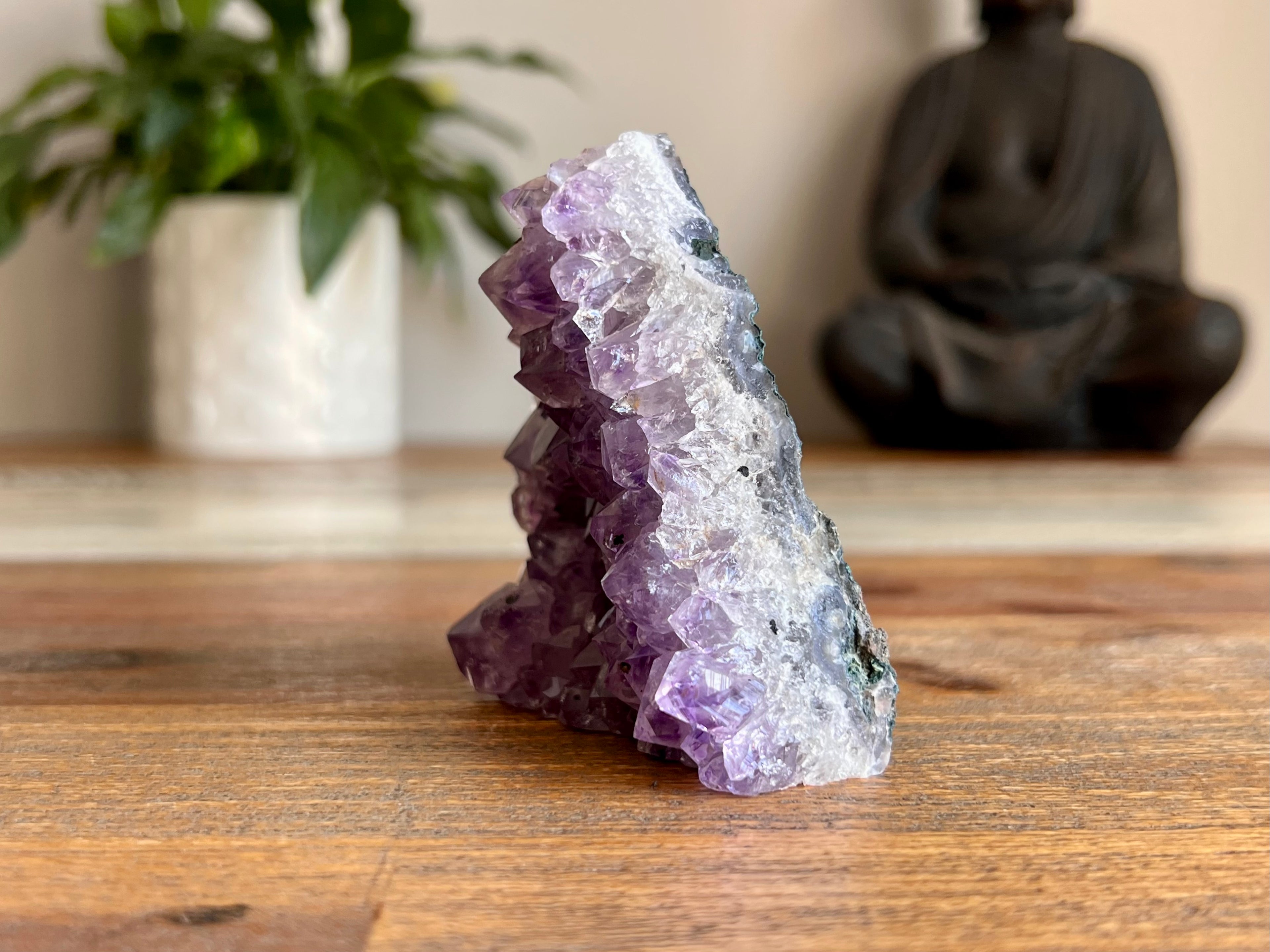 Amethyst Cluster