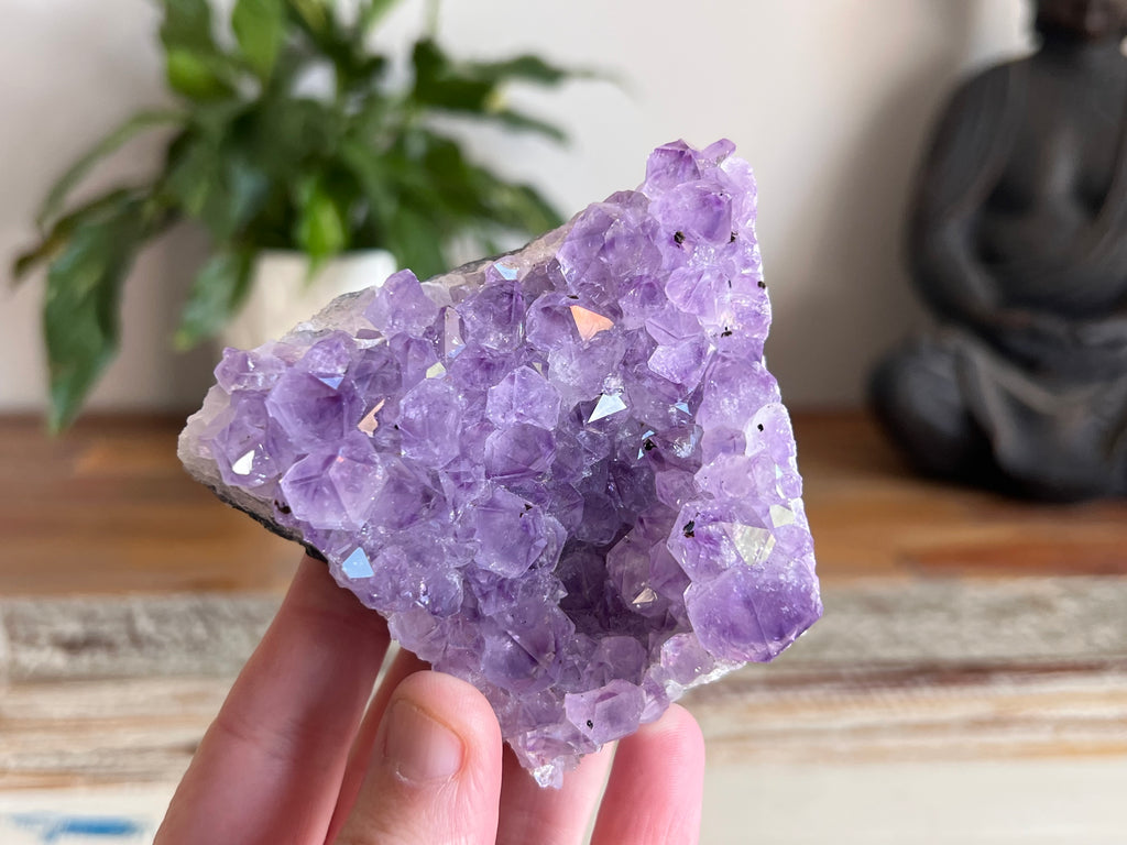 Amethyst Cluster