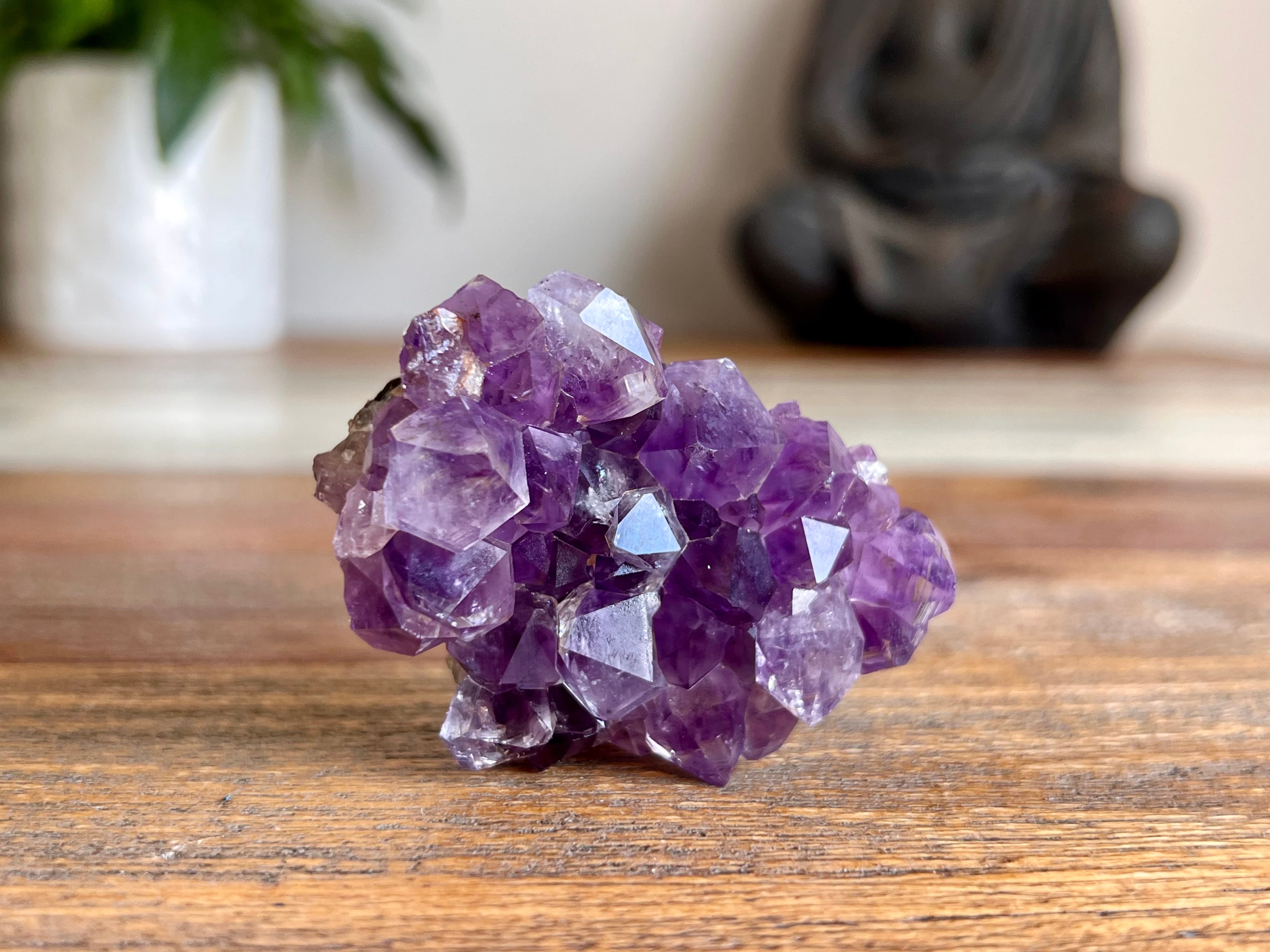 Amethyst Cluster