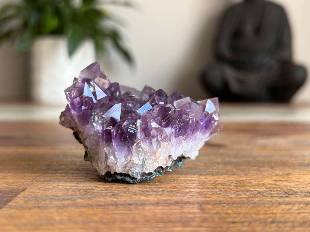 Amethyst Cluster