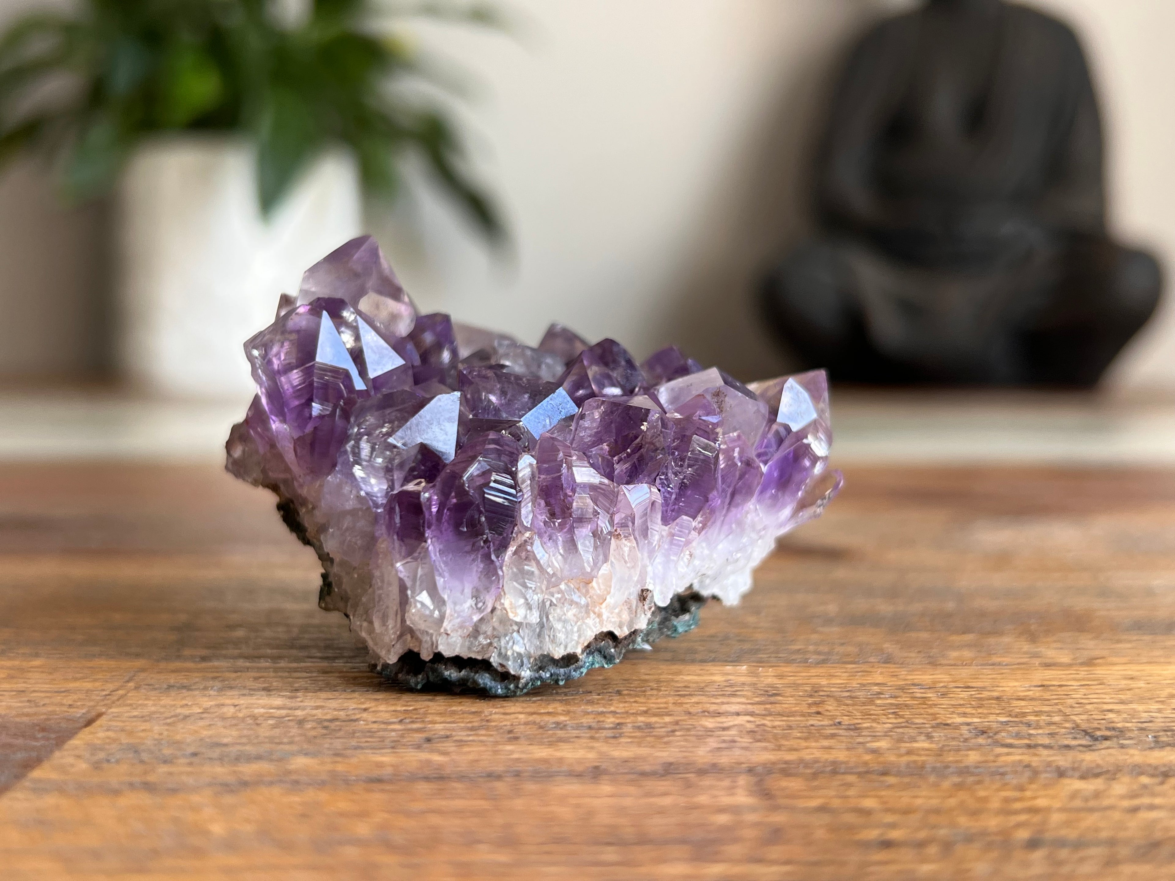 Amethyst Cluster