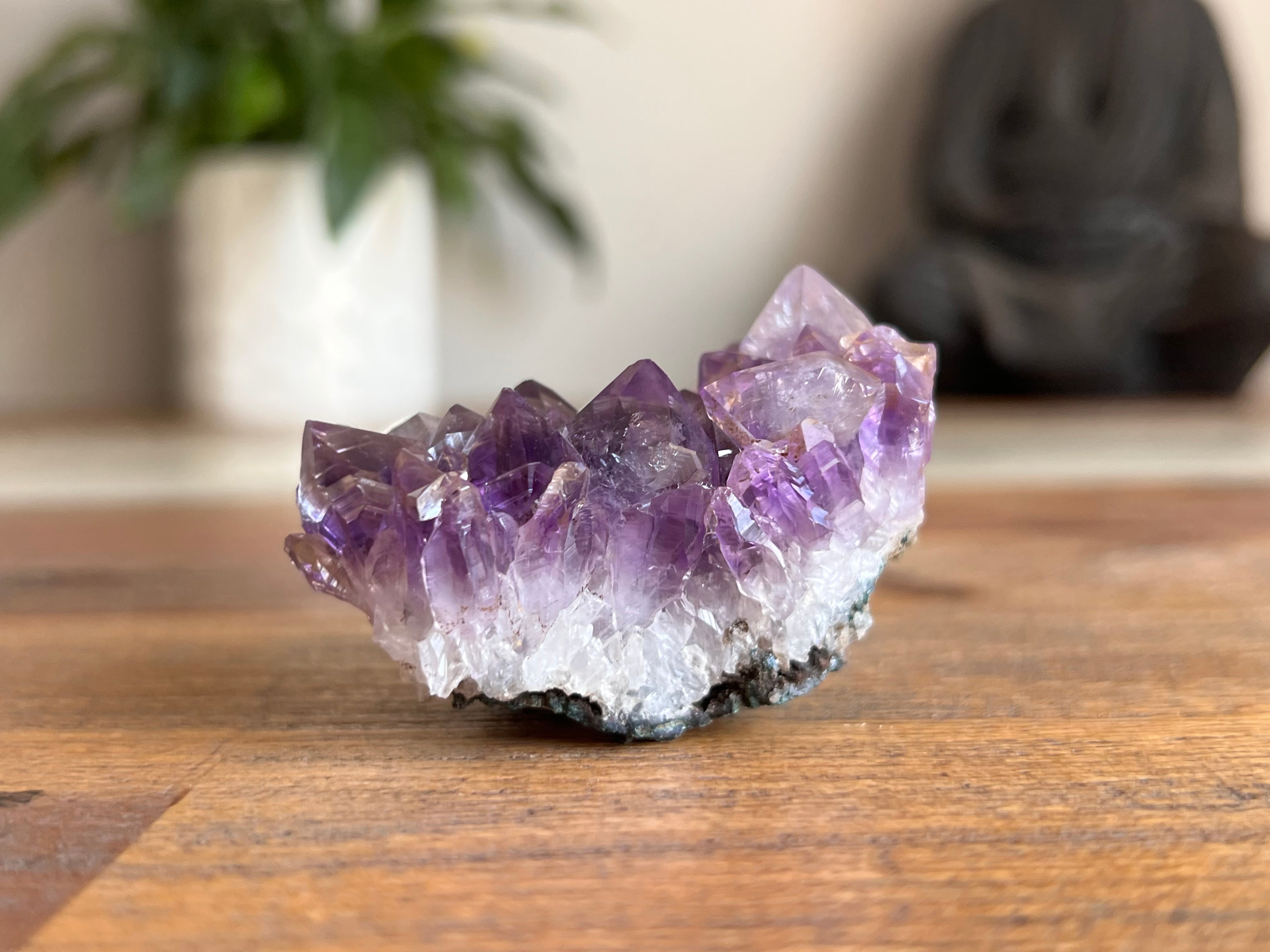 Amethyst Cluster