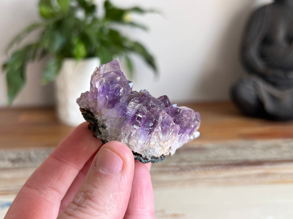 Amethyst Cluster