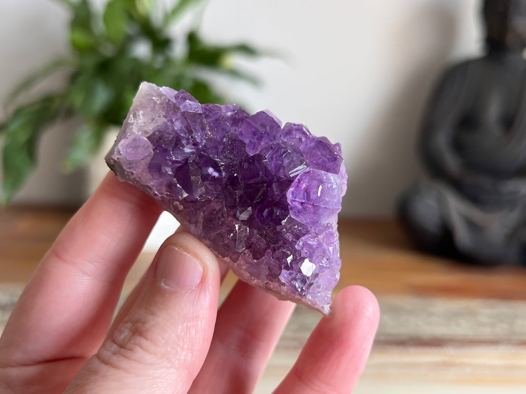 Amethyst Cluster