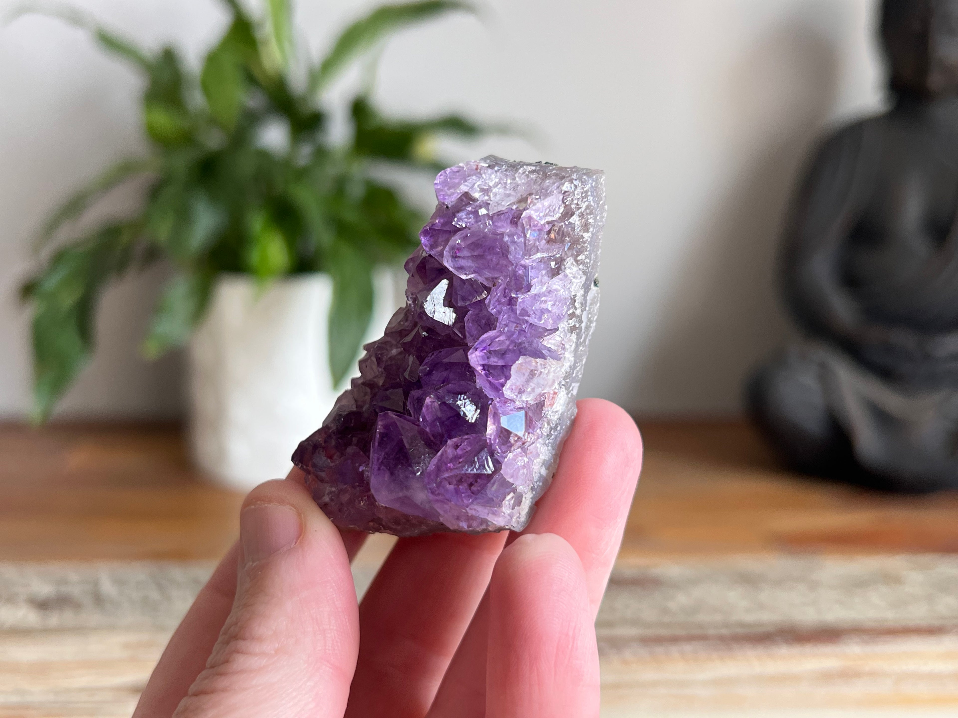 Amethyst Cluster