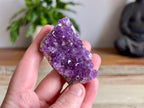 Amethyst Cluster