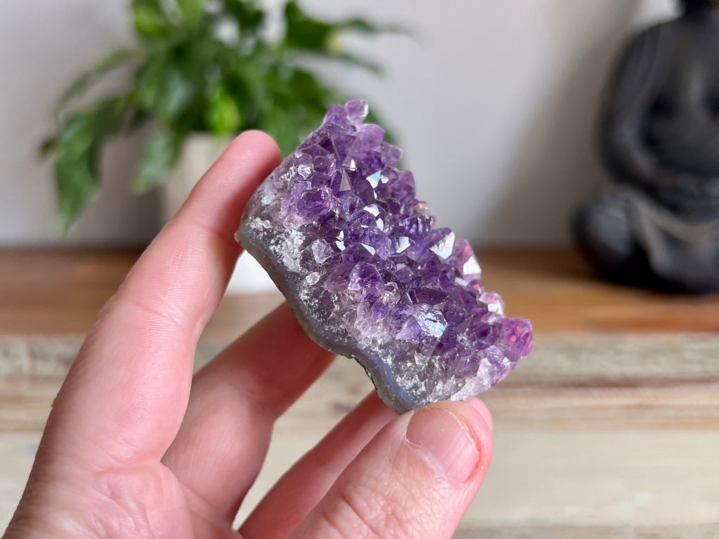 Amethyst Cluster