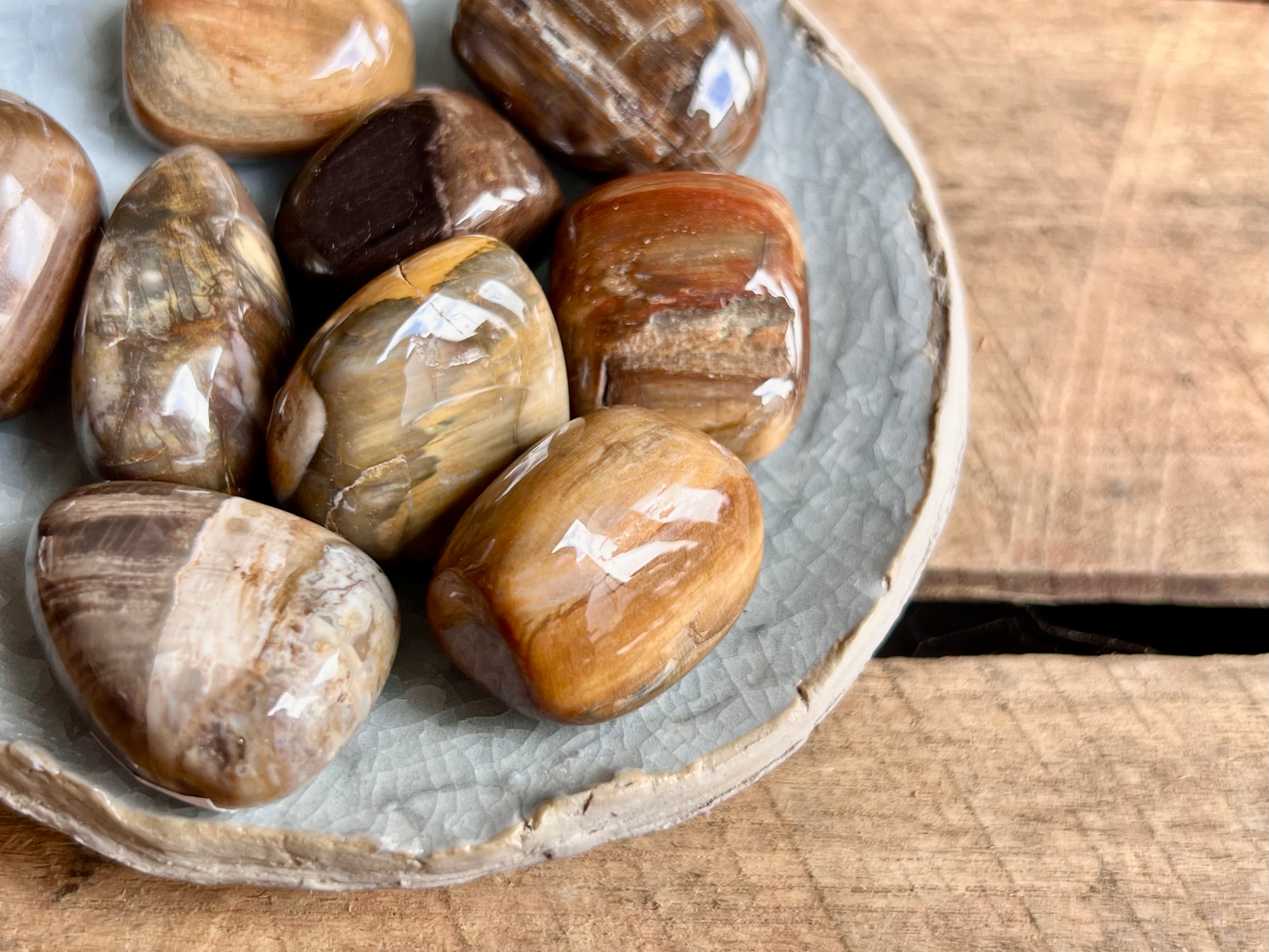 Petrified Wood Tumbled Stones