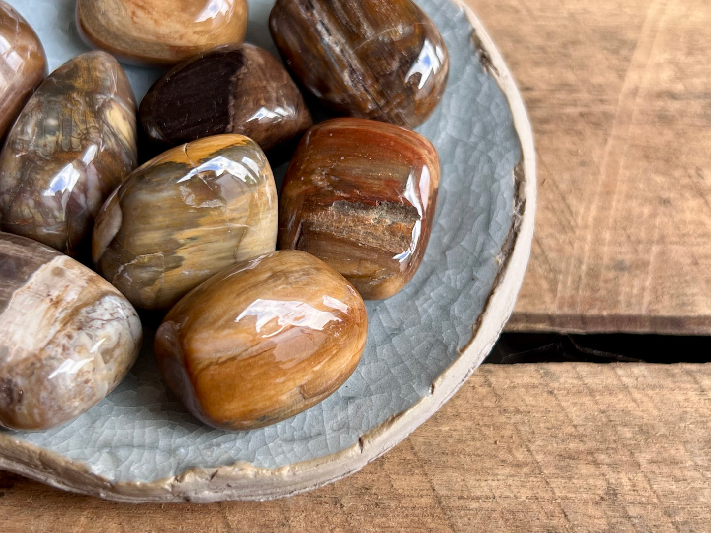 Petrified Wood Tumbled Stones