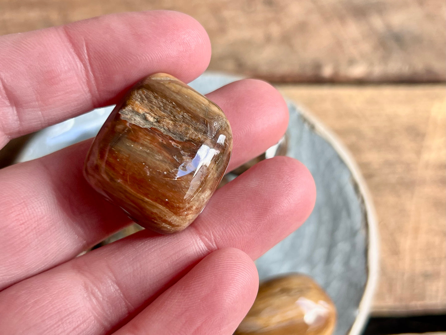 Petrified Wood Tumbled Stones