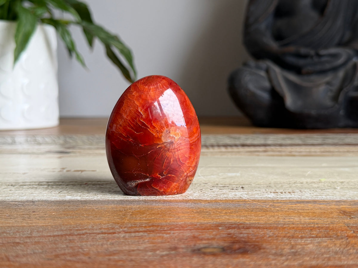 Carnelian Freeform