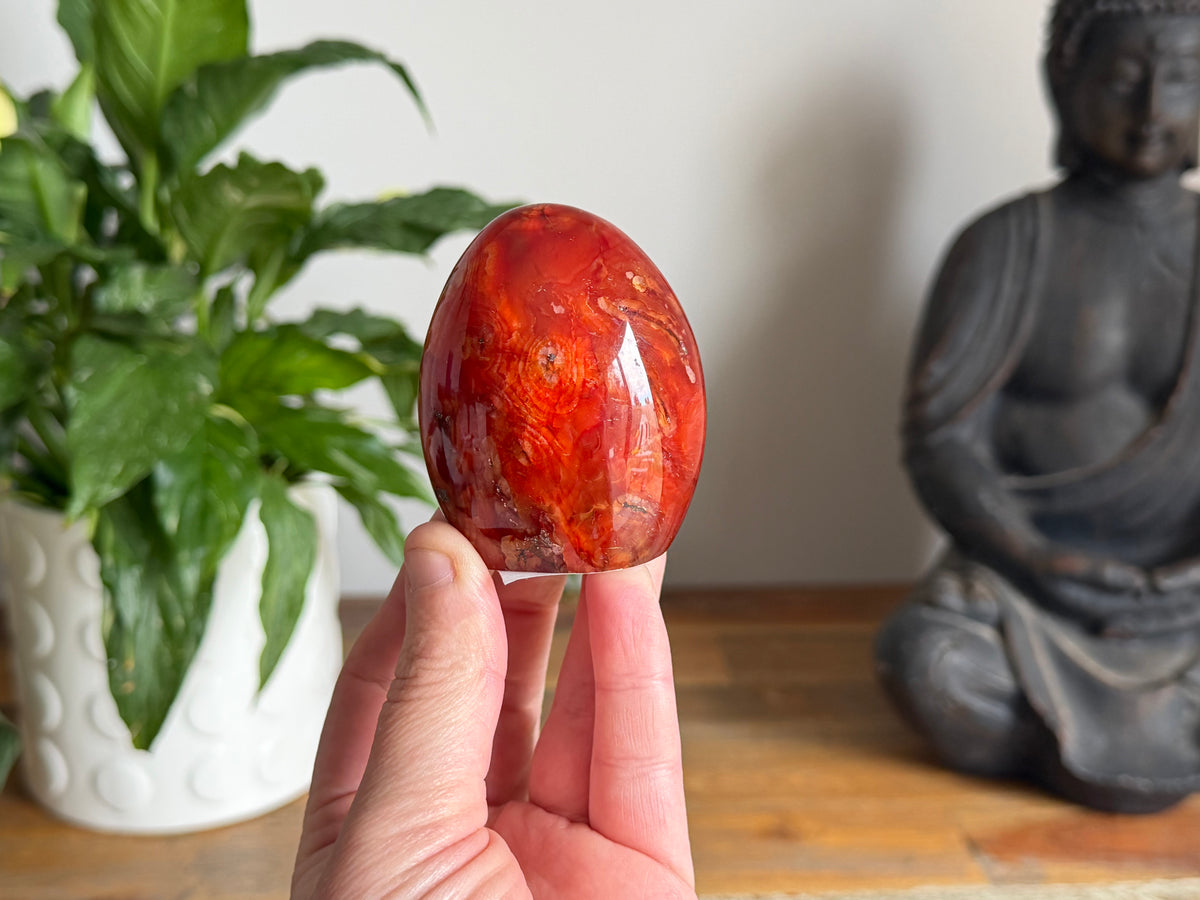 Carnelian Freeform