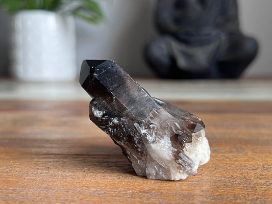 Smokey Quartz Cluster