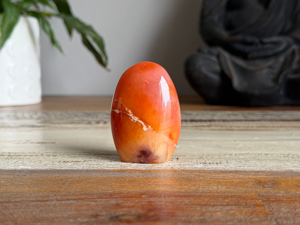Carnelian Freeform