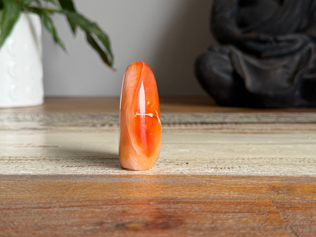 Carnelian Freeform