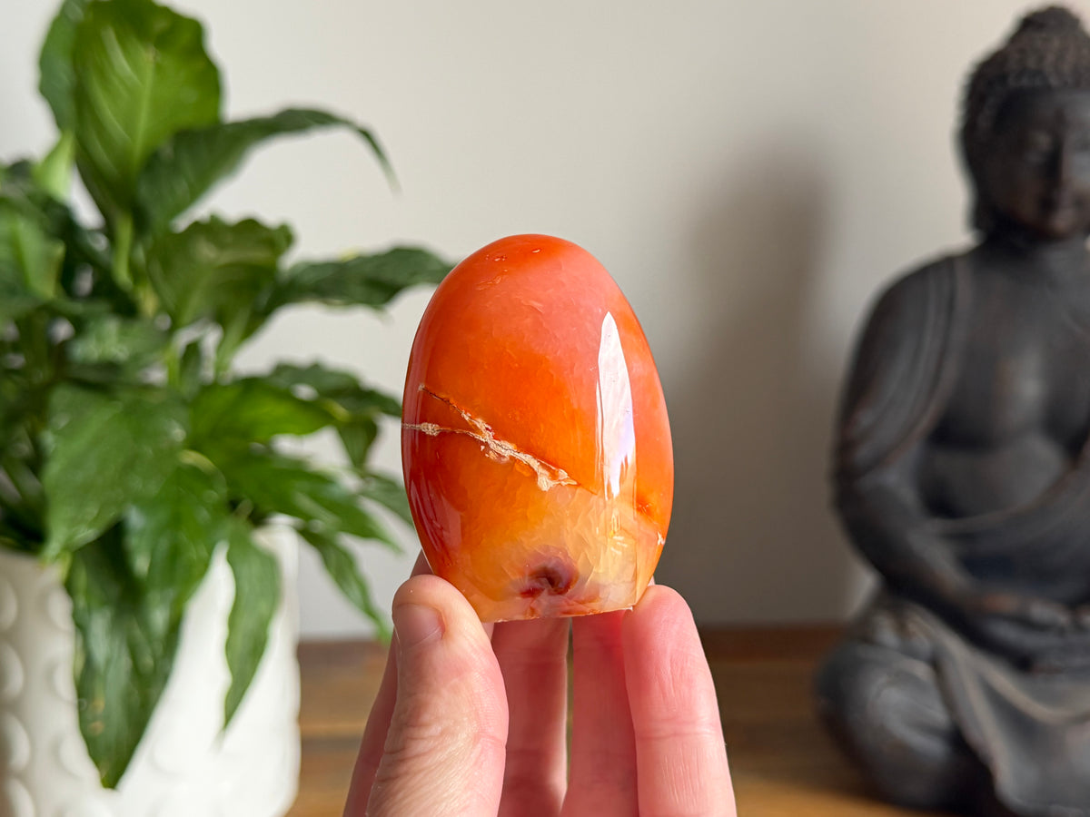 Carnelian Freeform
