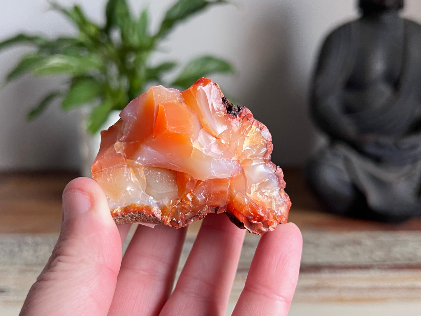 Carnelian Rough