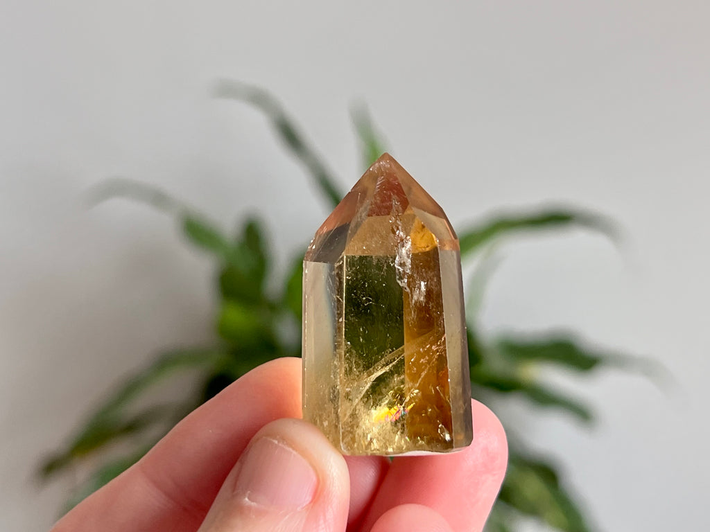 Smokey Citrine Point