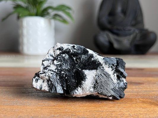 Schorl Tourmaline in Quartz