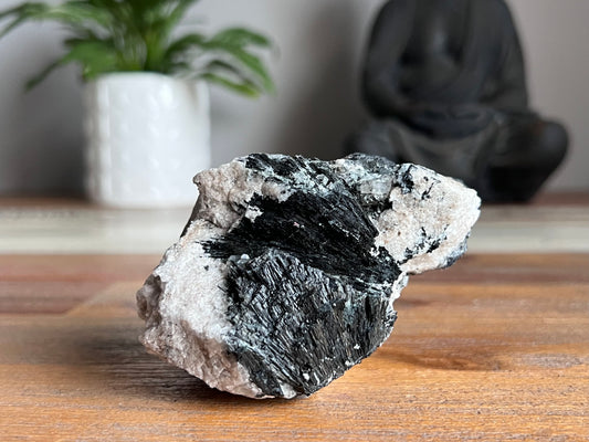 Schorl Tourmaline in Quartz