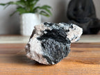 Tourmaline in Quartz (Tasmanian Schorl)