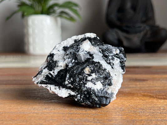Schorl Tourmaline in Quartz