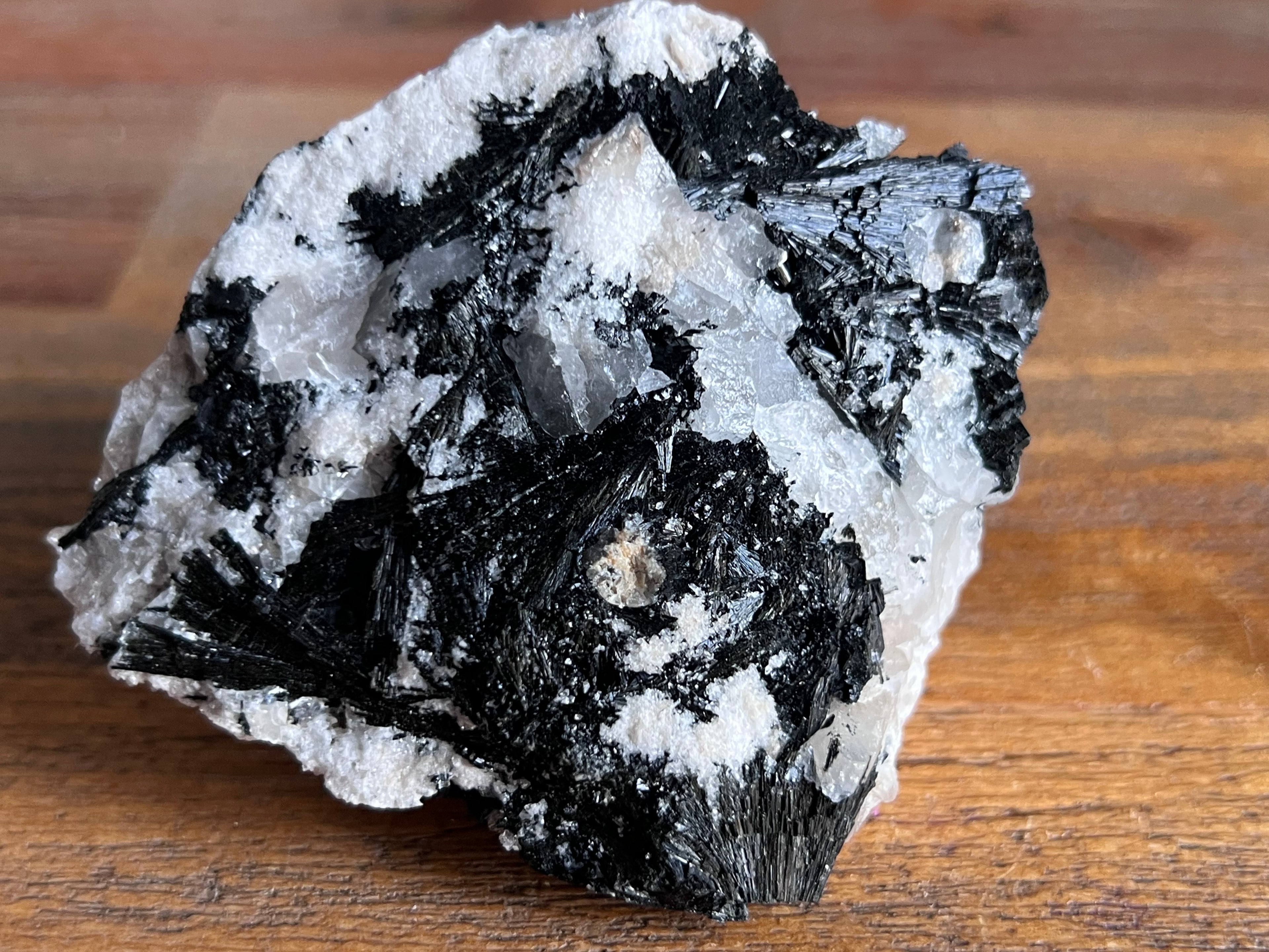 Tourmaline in Quartz (Tasmanian Schorl)