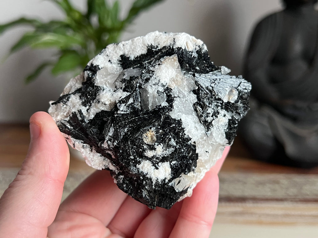 Tourmaline in Quartz (Tasmanian Schorl)