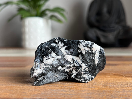Schorl Tourmaline in Quartz