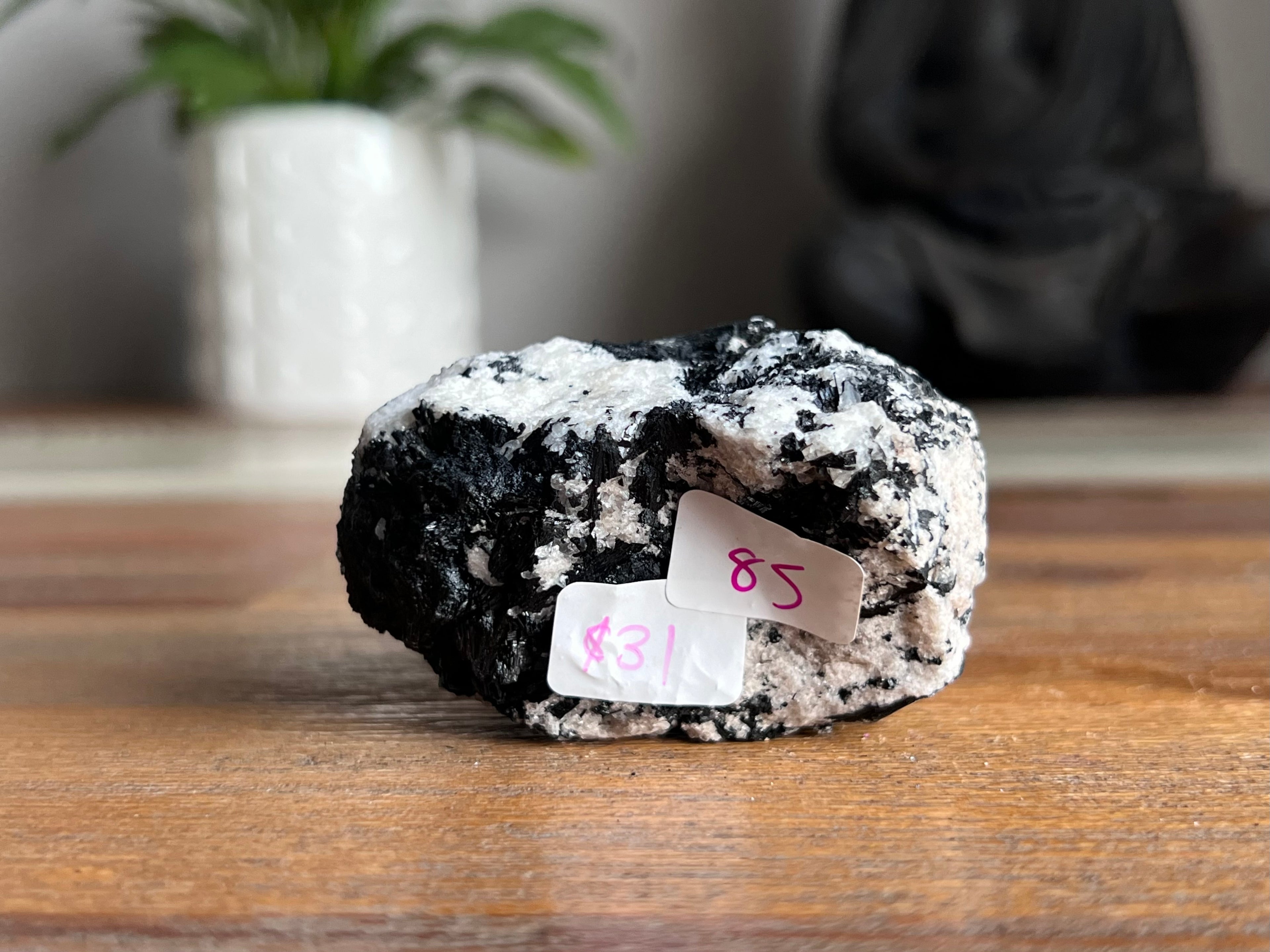 Tourmaline in Quartz (Tasmanian Schorl)