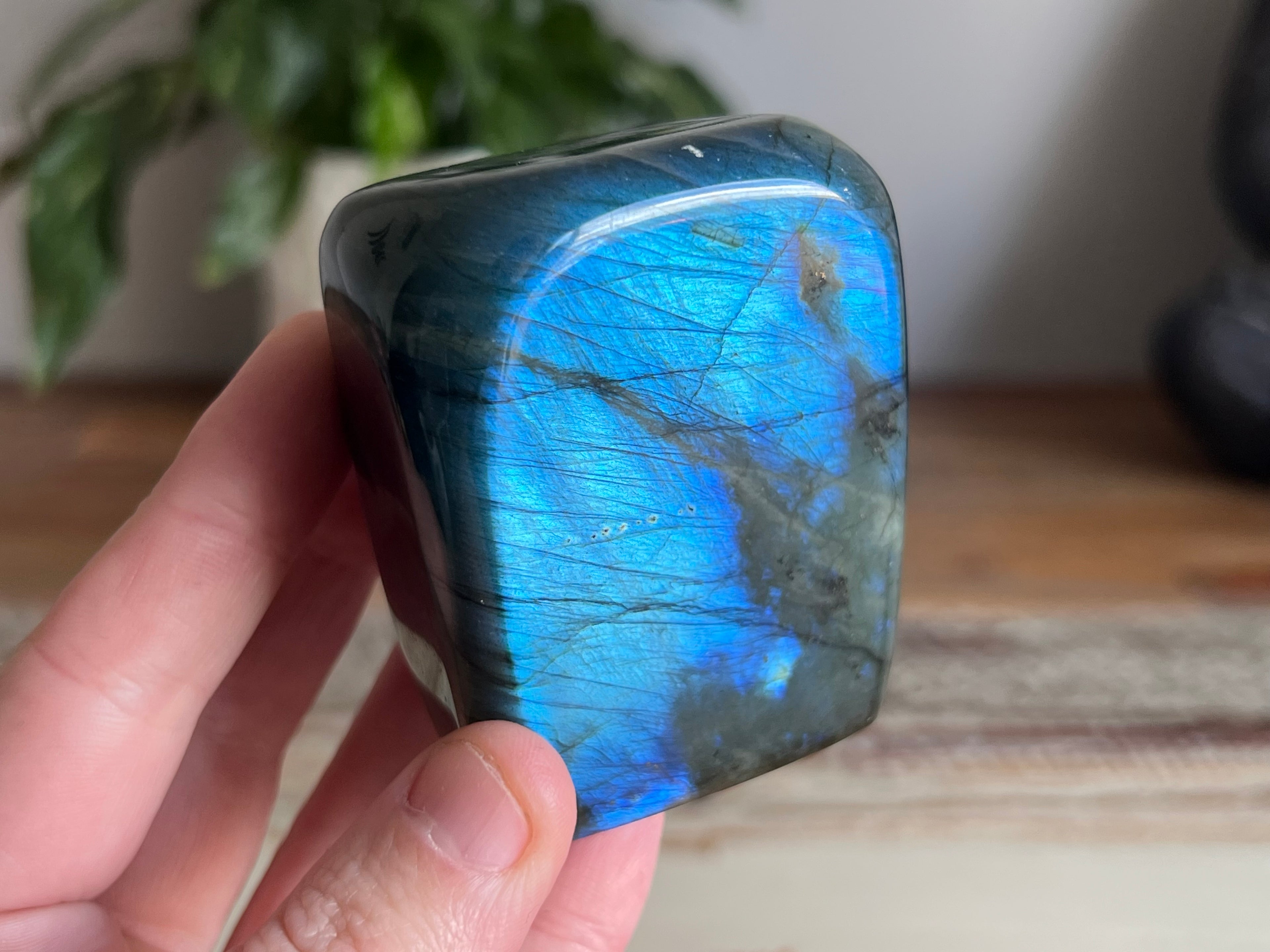 Labradorite Free Form - Blue Flash