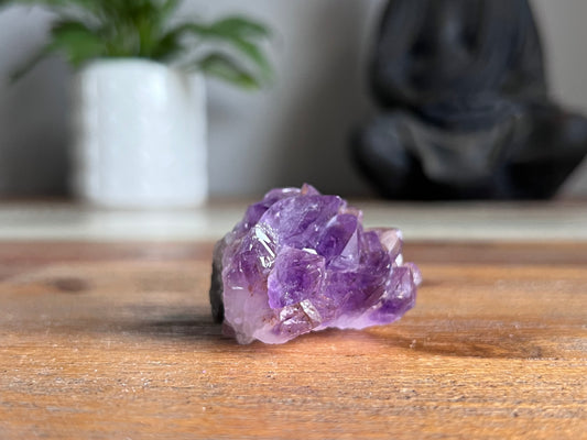 Amethyst Cluster