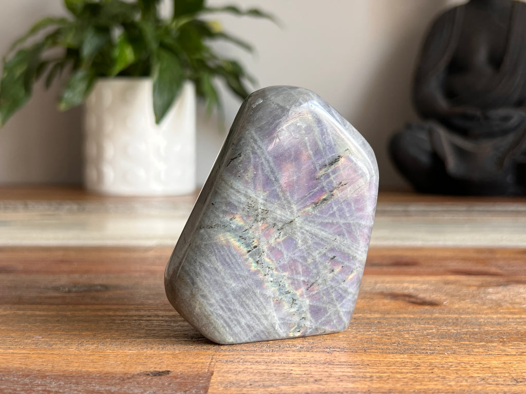 Labradorite Free Form - Purple Flash