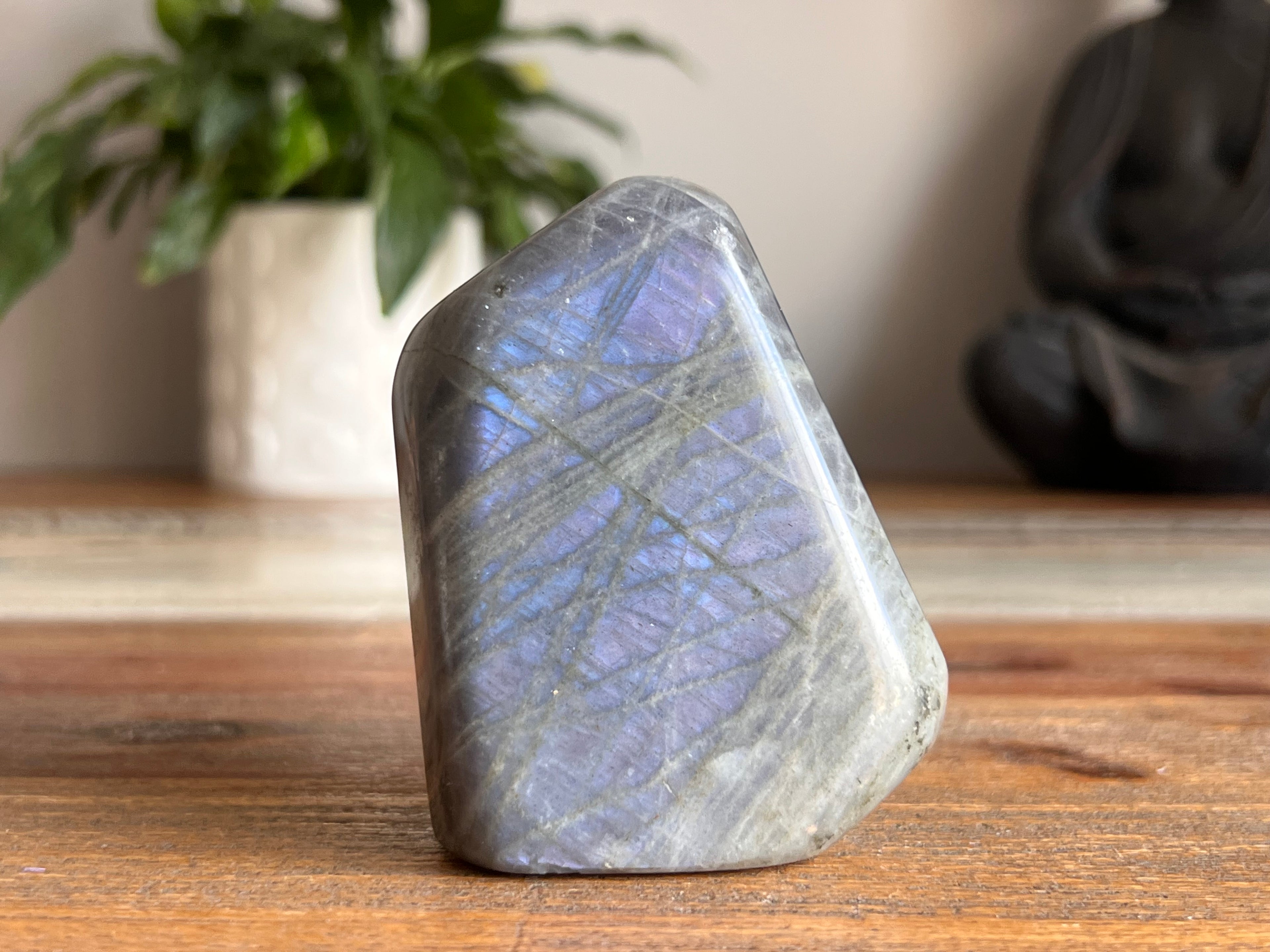 Labradorite Free Form - Purple Flash