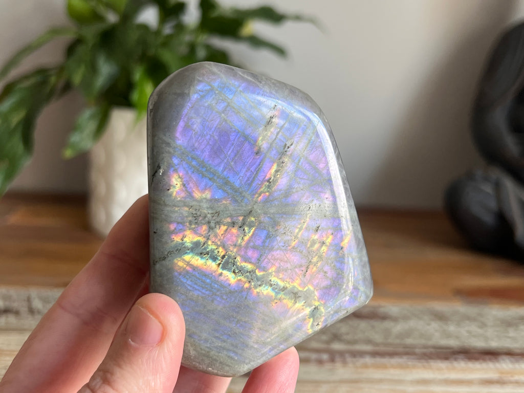 Labradorite Free Form - Purple Flash
