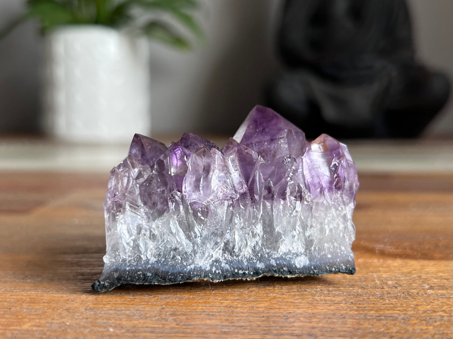 Amethyst Cluster