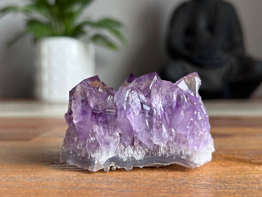 Amethyst Cluster