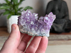 Amethyst Cluster
