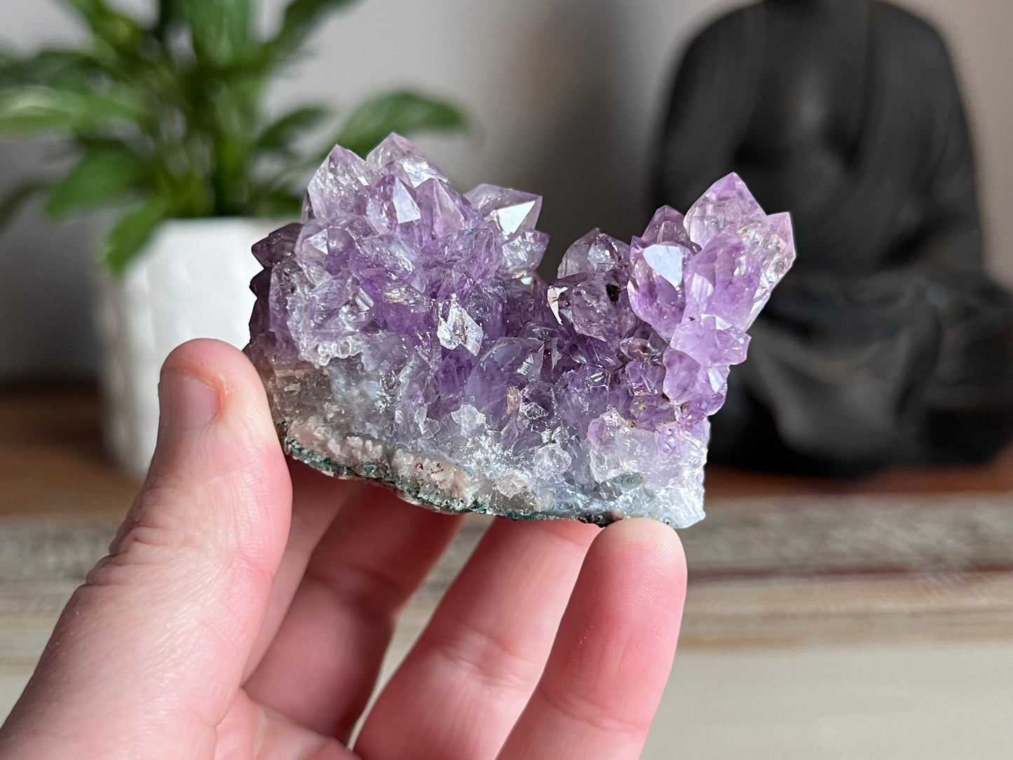 Amethyst Cluster