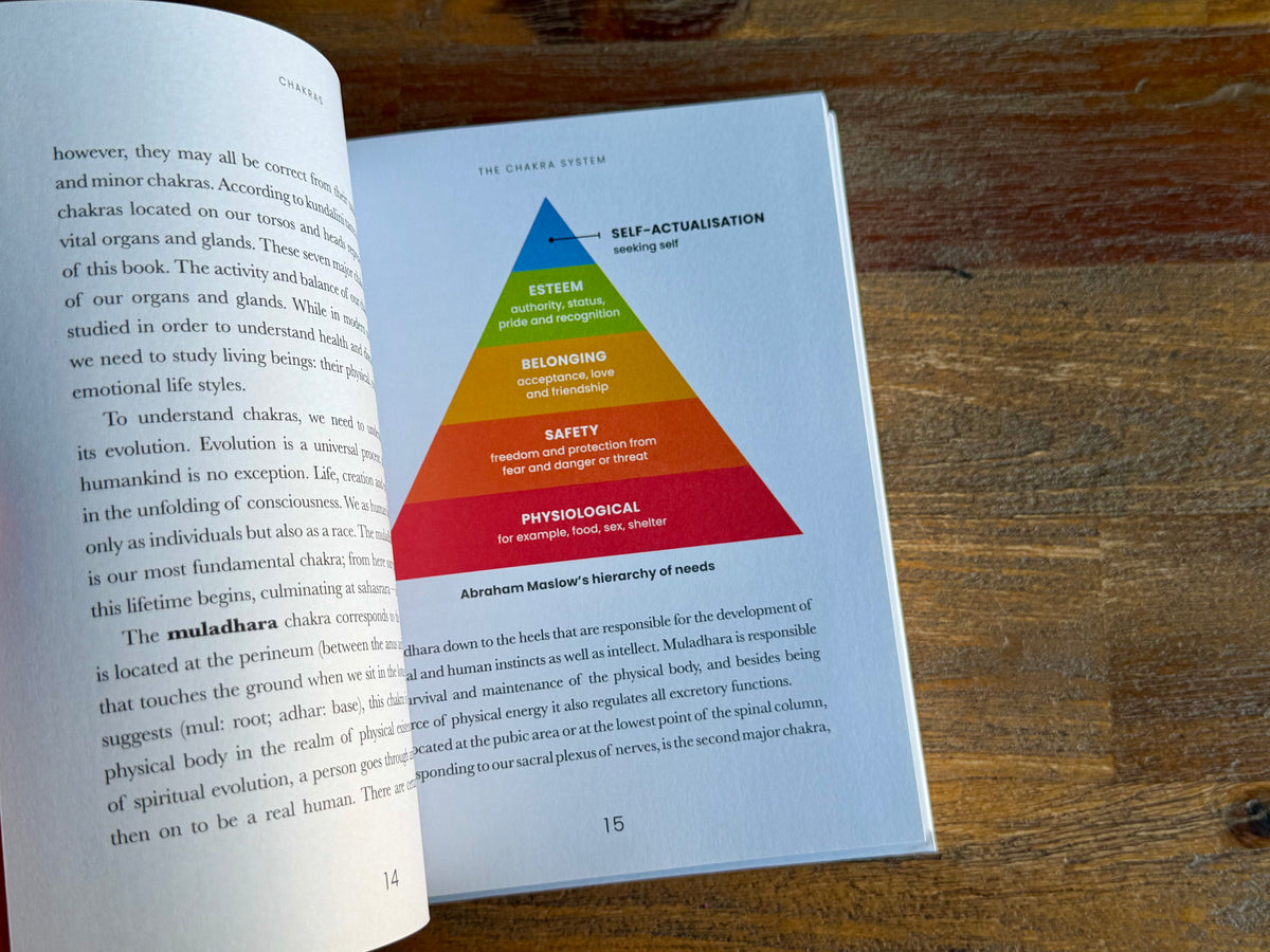 Chakras - Journey through the energy centres of your body