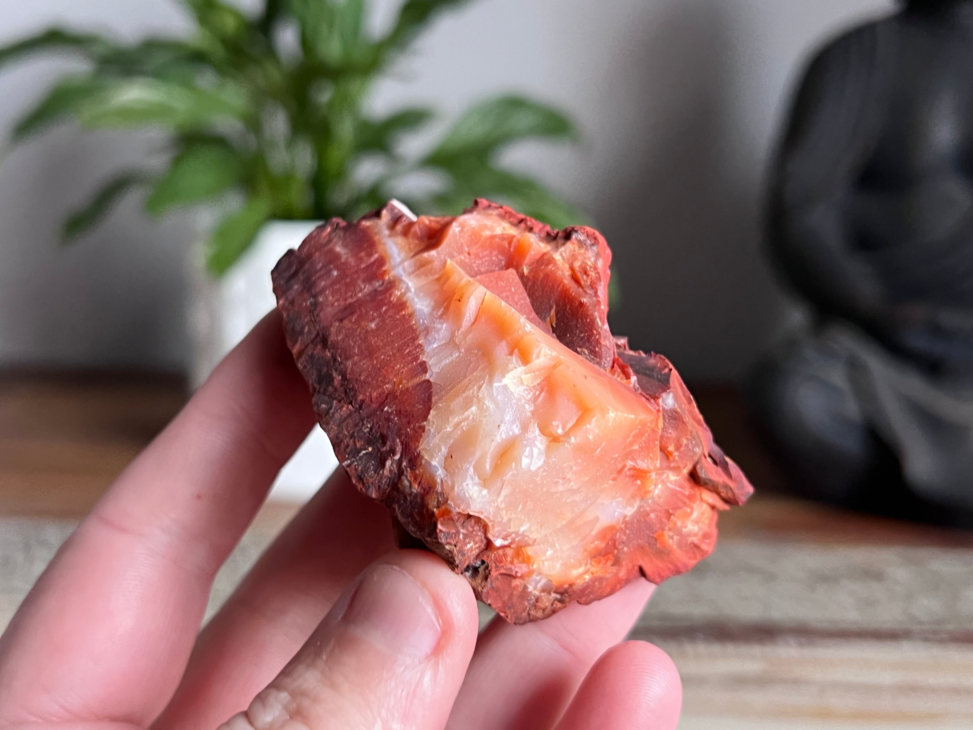 Carnelian Rough