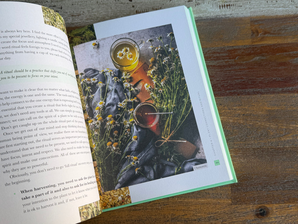 Plant Spirit Medicine - Nicola McIntosh