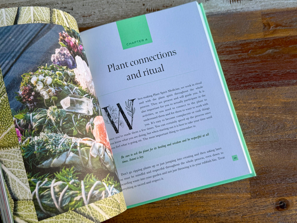 Plant Spirit Medicine - Nicola McIntosh