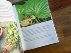 From Earth - A guide to creating a natural apothecary - Charlotte Rasmussen