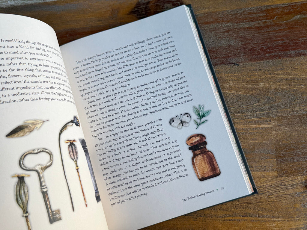 The Witch's Apothecary - Lorriane Anderson