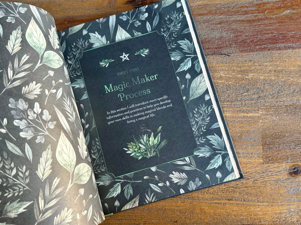 The Witch's Apothecary - Lorriane Anderson