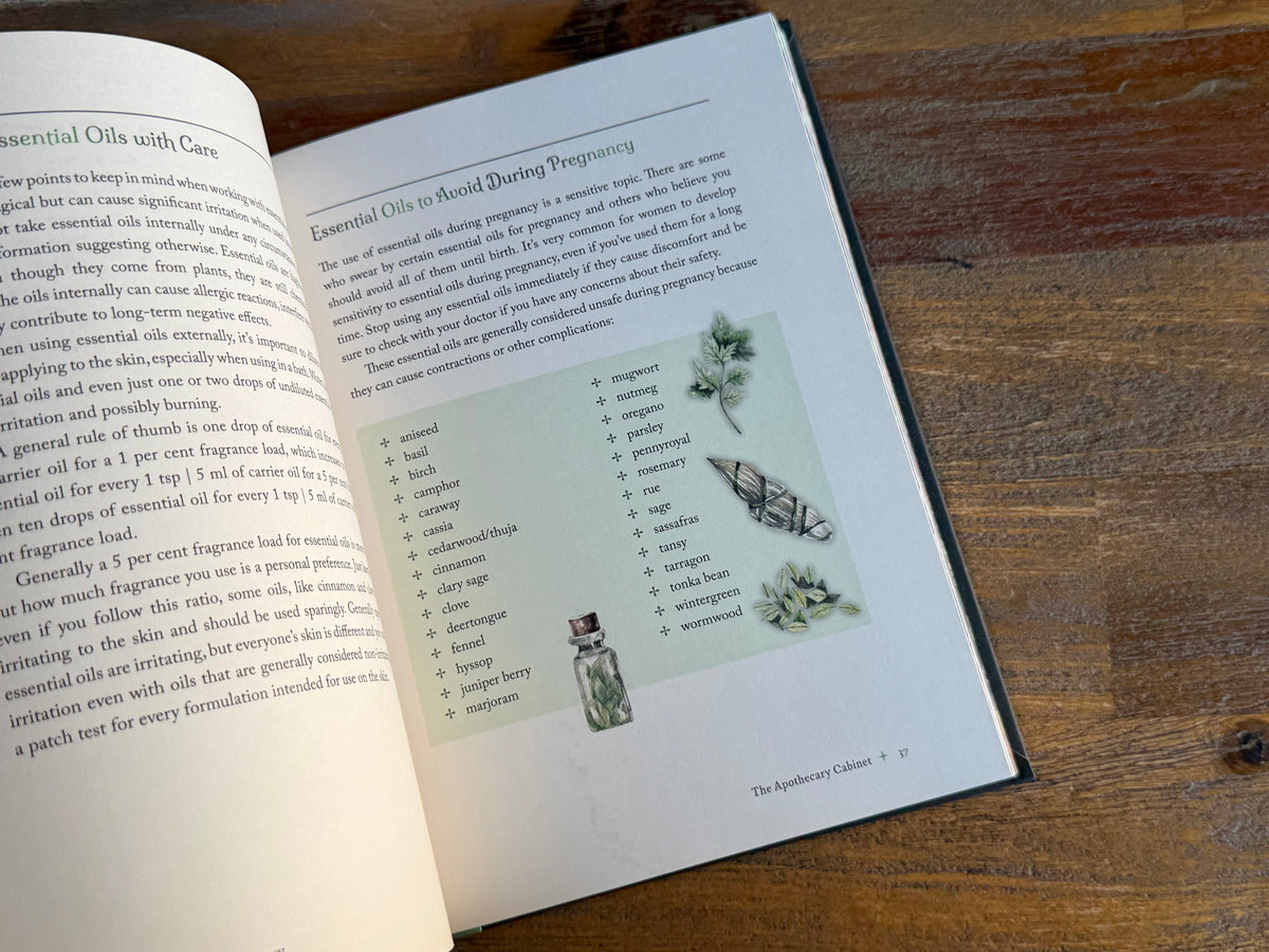 The Witch's Apothecary - Lorriane Anderson